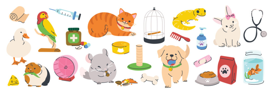 Pet care elements vector illustration set with cats, dogs, birds and grooming items. Hand drawn cartoon design for icons, stickers, pet shop branding and packaging.
