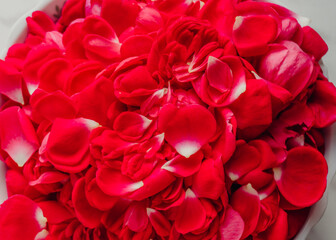 Naklejka premium Close-up composition of delicate red rose petals arranged in an elegant, romantic style. Soft natural texture and vibrant color create a beautiful floral background ideal for love, romance, weddings.