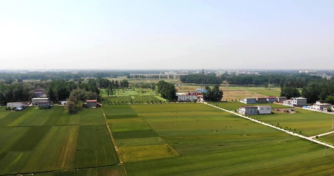 Aerial Rural Farmland with Green Fields and Countryside Homes