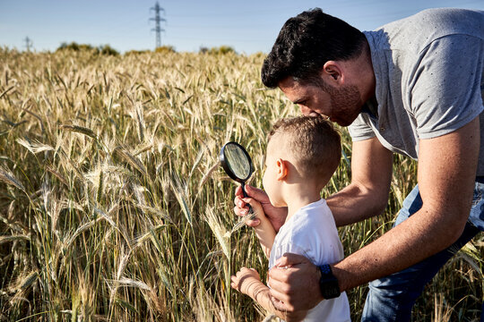 Father and son examining crops with magnifying glass in agricultural field