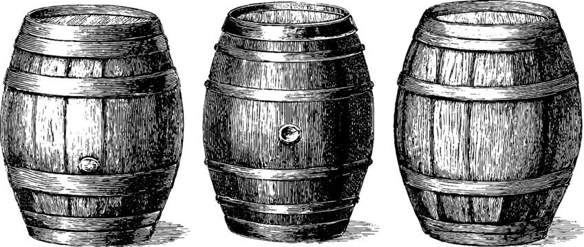Vintage engraved wine barrel sketch set for retro design projects