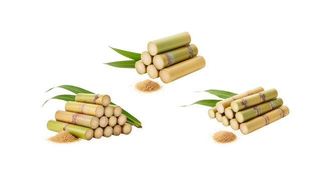 Fresh sugarcane sticks with leaves isolated on transparent background.