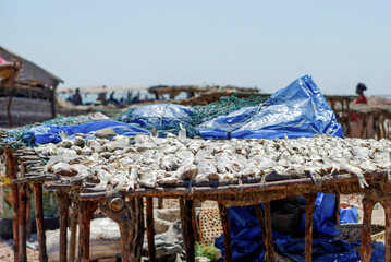 Séchage du poisson dans un village de pêcheurs au Sénégal © PPJ