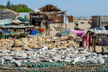Séchage du poisson dans un village de pêcheurs au Sénégal © PPJ