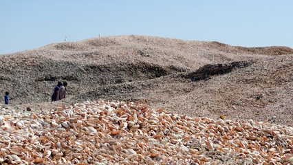 Colline de coquillages près du village de Djifer au Sénégal © PPJ