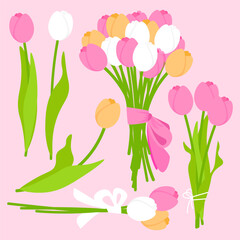 Pink, White, and Yellow Tulip Floral Collection with Bouquets and Stems
