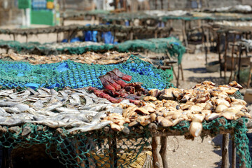 Séchage du poisson dans un village de pêcheurs au Sénégal © PPJ