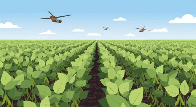 Drones fly over a vast, sunlit soybean field under a clear sky