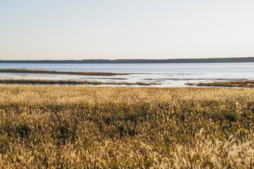 夕暮れの野付湾に集まる野鳥の群れ