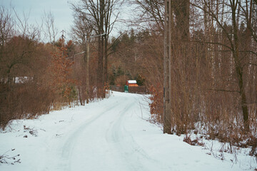 wiejska droga,zima  © Marcin Łazarczyk