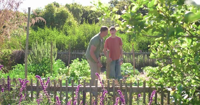Male adult guiding male youth pointing and bending showing planting using stake and trowel in yard