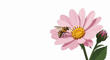 Bee on flower collecting pollen from delicate pink daisy blossom, vibrant yellow center. Busy bee on flower exploring soft petals of cheerful daisy bloom, accompanied by a closed green bud.