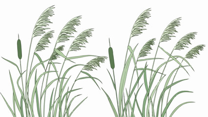 Fototapeta premium Green reeds illustration, stylized slender blades and two prominent cattails. Waving green reeds evoke natural tranquility, ideal for serene wetland scenes.