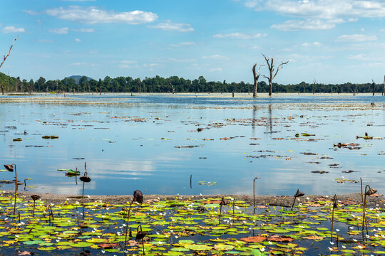 View of Jaytataka North Baray, water reservoir near Neak Poan temple in Angkor, Siem Reap, Cambodia