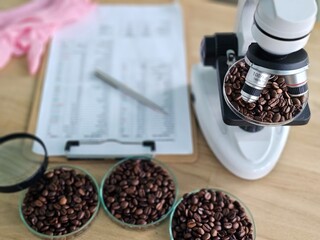 Coffee beans under microscope at lab with notes and tools visible on table during coffee analysis...