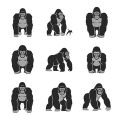 Gorilla Silhouette Collection Various Poses.