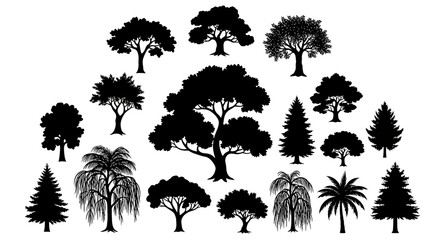 Collection of various tree silhouettes on white background including palm pine and deciduous trees in black