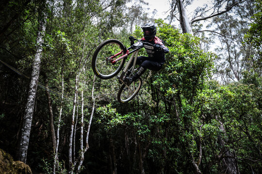 2026 Red Bull Hardline Tasmania - Seeding