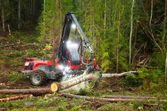 Blurred motion of lumber machinery cutting wood logs in forest