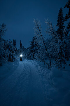 Distant view of unrecognizable person wearing headlamp standing on snow covered road in winter forest at night