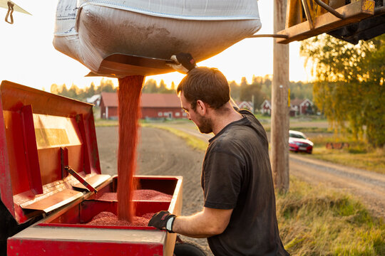 Male farmer filling seeds from machine bag in container at field