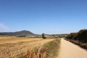 Fototapeta premium Dirt path leading toward Villatuerta on Camino de Santiago Frances in Navarra Spain July 2024