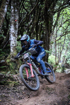 2026 Red Bull Hardline Tasmania - Seeding