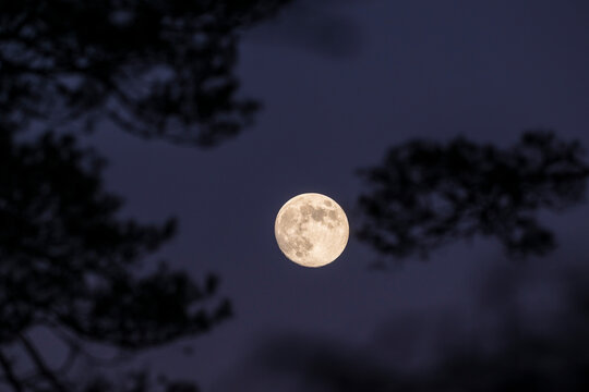 Idyllic view of full moon shining in sky at night