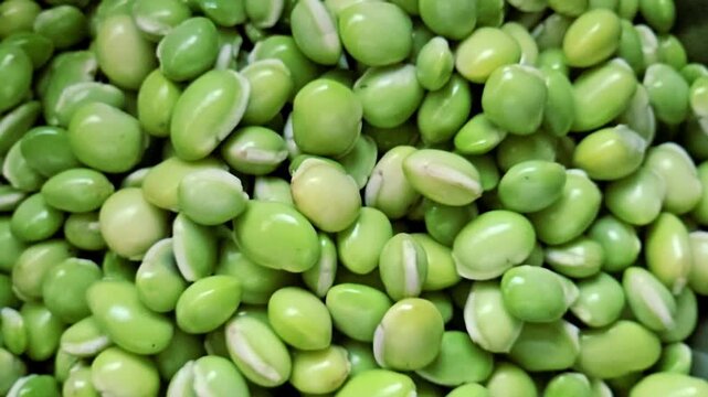 Fresh green pigeon peas or hyacinth beans, known as Tuvar Lilva or Valor Lilva in Indian cuisine, are shown ready for cooking or preparation, highlighting rural agriculture.
