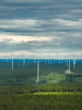Distant view of wind turbines in row amidst forest trees under cloudy sky