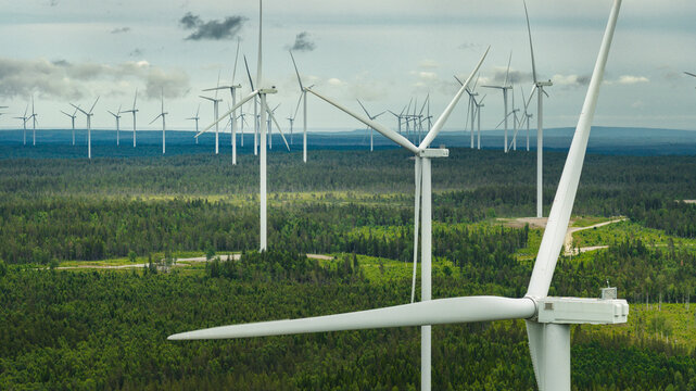 Large number of wind turbines amidst forest trees