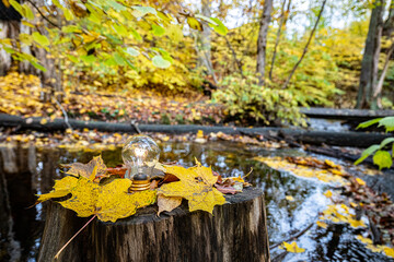 Illuminated Electric Bulb Amidst Leaves