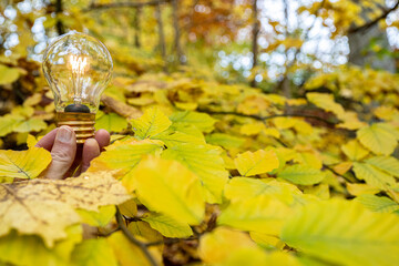 Hand Unrecognizable Person Holding Illuminated