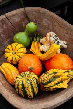 Types of ornamental gourds and pumpkin in basket