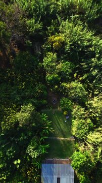 Vertical zenithal zoom in drone footage focusing on a small forest clearing near Lake Atitlan in Guatemala, surrounded by dense tropical vegetation.