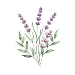Fototapeta premium A beautiful illustration of purple flowers with green leaves and stems isolated on transparent background