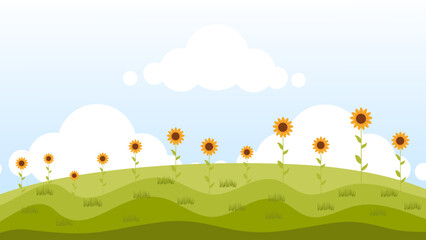 Fototapeta premium sunny sunflower field on green grass hills under blue sky white clouds