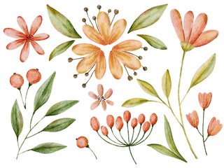 Watercolor botanical set. Flower leaf berry floral nature. Handpainted organic illustration © Karina Martirosova