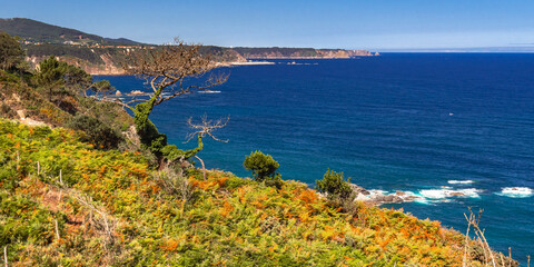 Viewpoint of Esp&iacute;ritu Santo, Cantabrian Sea, Miradores Coastal Path, Natura 2000 Network, Preservation Area, Muros de Nal&oacute;n, Principado de Asturias, Spain, Europe