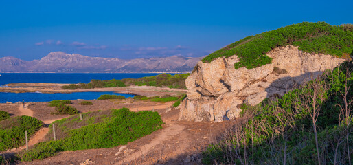 Finca P&uacute;blica de Son Real, Natura 2000, Pen&iacute;nsula de Llevant Natural Park, Mallorca, Balearic Islands, Spain, Europe
