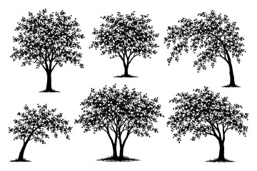 Fototapeta premium Black silhouette of six unique trees on white background.