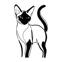 Dibujo con líneas de un gato siamés de pie © teracreonte