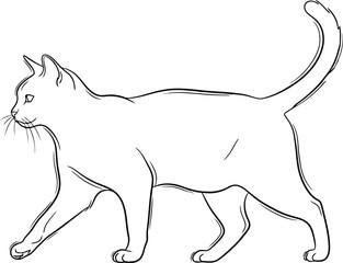 A simple line drawing of a cat walking with its tail raised high in the air. © SHIRIN