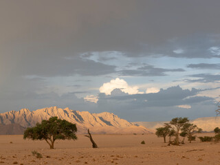 Namibia Wüstenlandschaft Sesriem  © Lothar Lenz