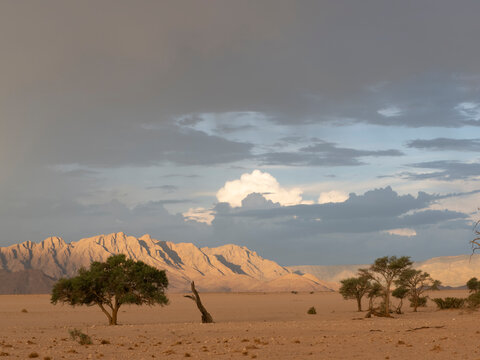 Namibia W&uuml;stenlandschaft Sesriem
