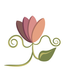 pink flower vector illustration