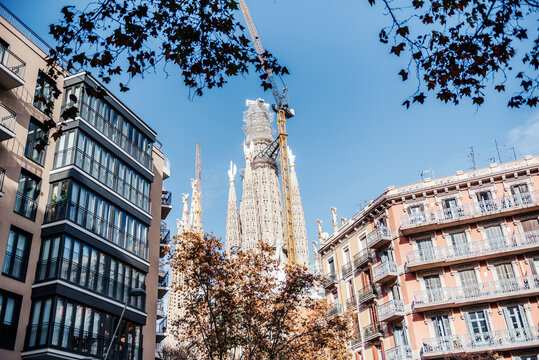 Sagrada Familia Towers Rising Above Barcelona Buildings
