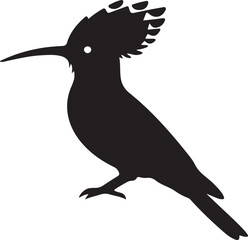 hoopoe icon on white background.  © Faisal