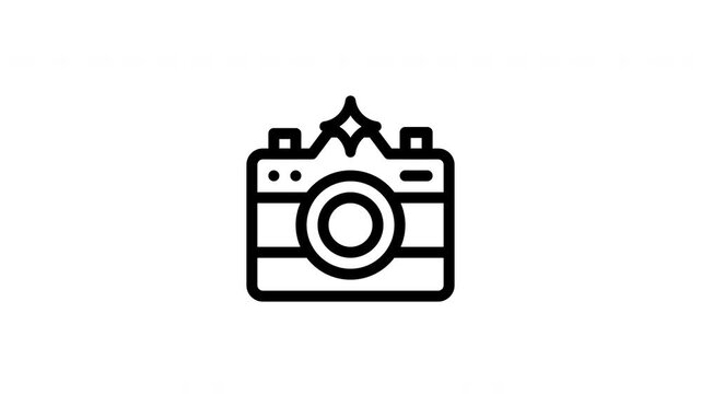 camera flash animated icon