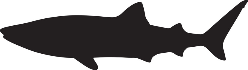  Whale Shark on white background.